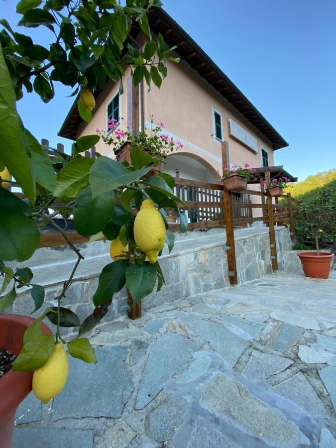 Locanda Da Marco Pignone Exterior foto